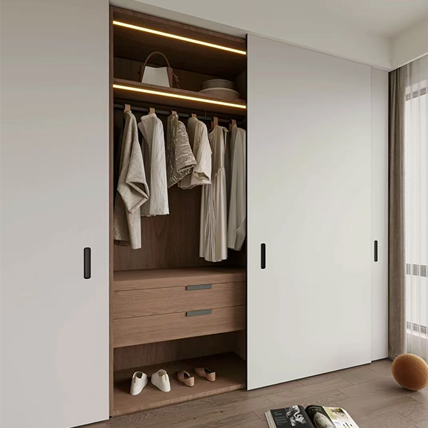 Electric Sliding Door